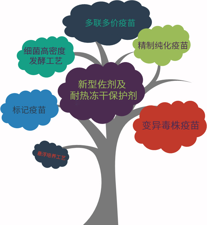 研究其前景与潜力