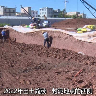 发掘SVG交互式功能的潜力