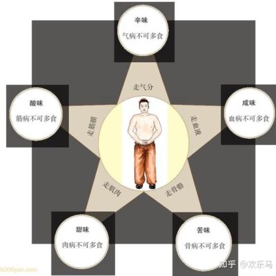 五、万户网络的业务模式与市场表现