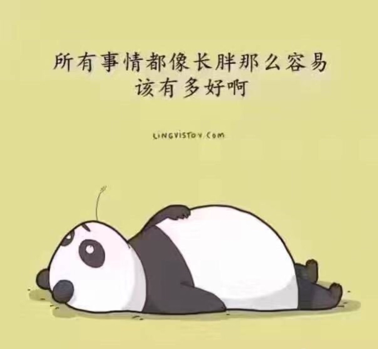 轻松掌握数据库备份技巧
