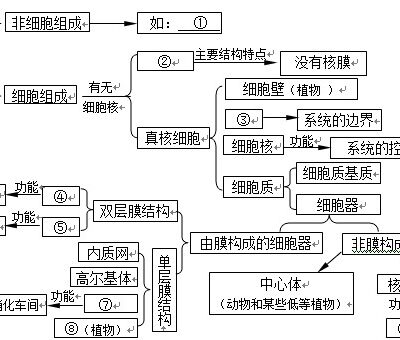 概念解析与基本原理