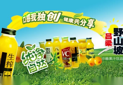 揭秘一线品牌服务器内存的发展现状