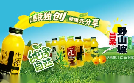 揭秘一线品牌服务器内存的发展现状