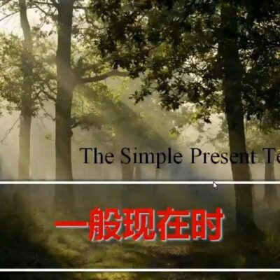 一般来说,中小型企业和个人的DNS服务器需求可以选择租用或购买云服务的方式,价格因服务提供商和具体服务内容而不同。