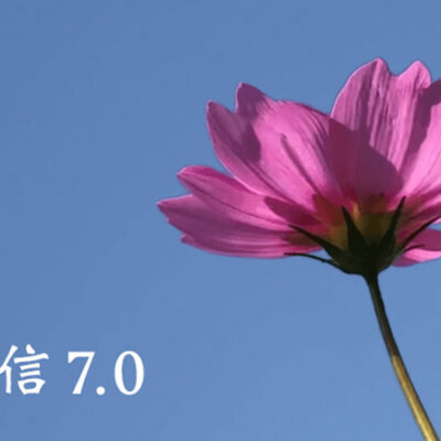 深度体验微信小程序的便捷性与实用性