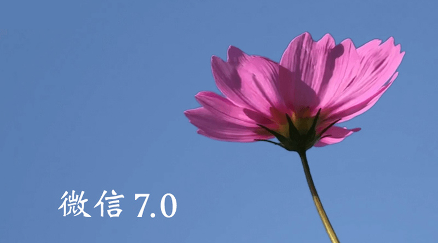 深度体验微信小程序的便捷性与实用性