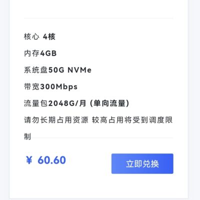 三十米服务器容纳能力深度解析