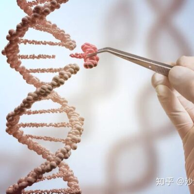 揭示基因科技在生命健康领域的应用与价值