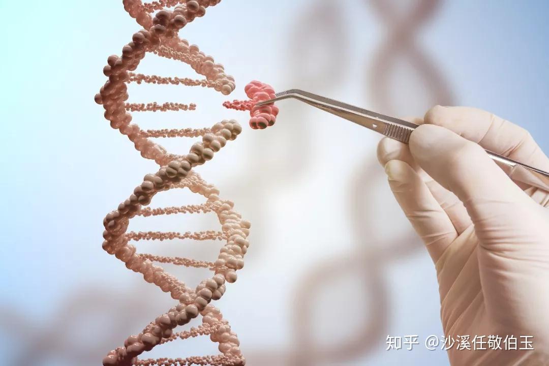 揭示基因科技在生命健康领域的应用与价值