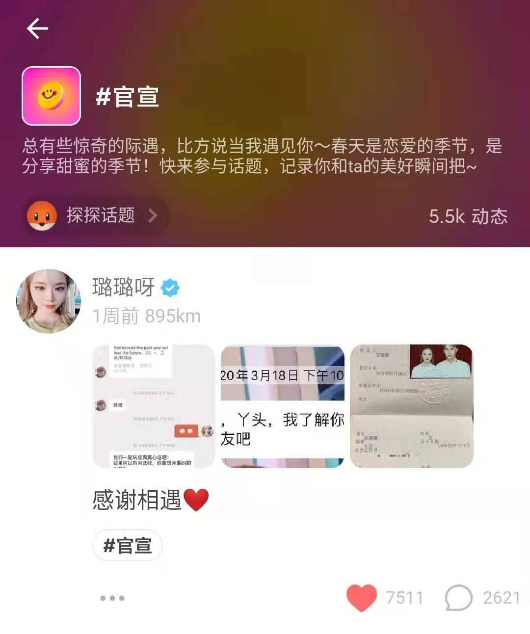 一探究竟