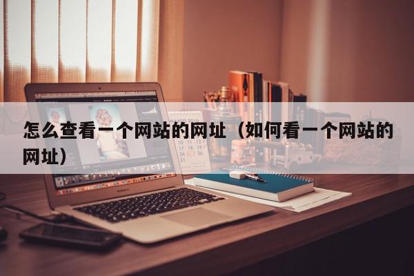 掌握网址搜索技巧