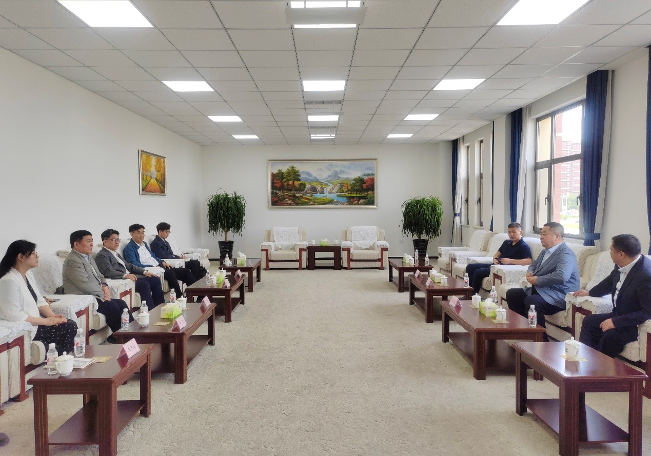 价格差异与购买指南