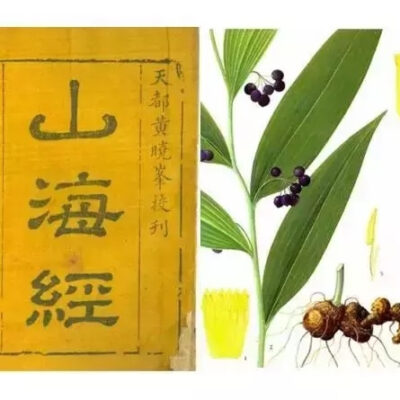 精准吸引客户，提升响应率