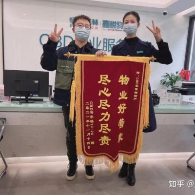 揭秘双梦服务器的用户规模：究竟有多少人曾经使用过？