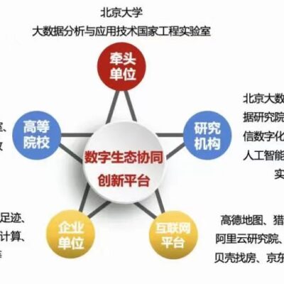 探寻数字生态中的创新动力