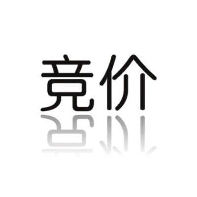 竞价平台的选择与运用技巧。