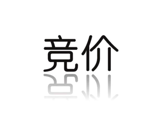 竞价平台的选择与运用技巧