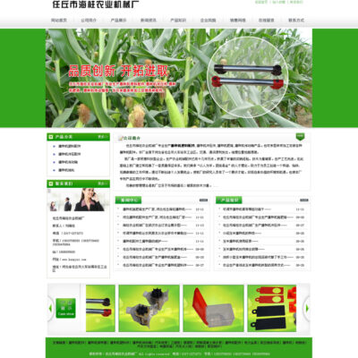 成功案例解析