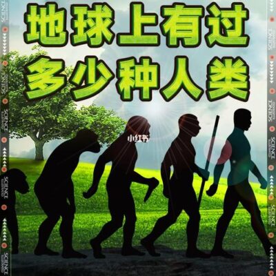 究竟有多少人在这个服务器上畅游？