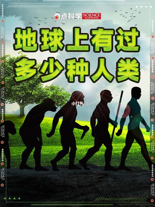 究竟有多少人在这个服务器上畅游