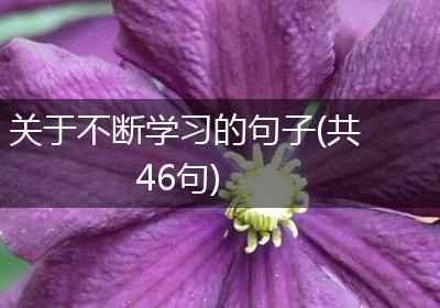 不断学习和实践，提升标题创作能力