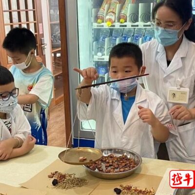小哥了解中医药在当代社会的实践与未来发展趋势