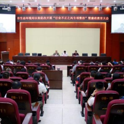全面探讨其技术进步与市场拓展策略