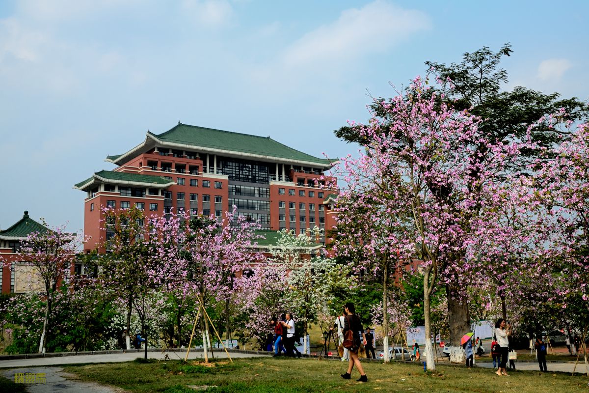 揭开华中农业大学云研究背后的神秘面纱