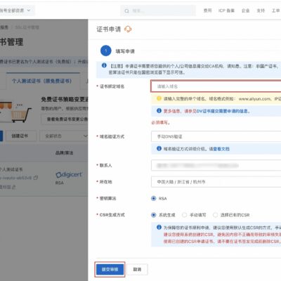 什么是域名？
