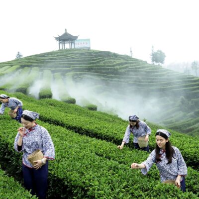 如何获取镇级网络服务器的最佳性价比？