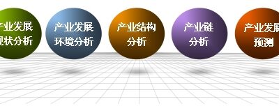 解析其在行业内的趋势与前景》