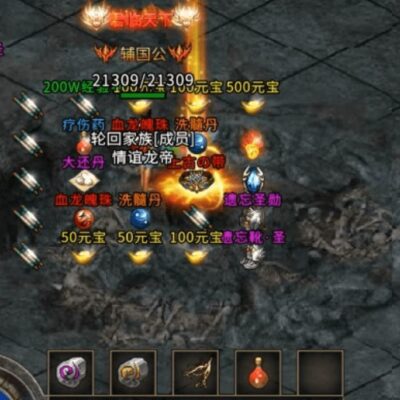 探寻全服传奇服务器的奥秘