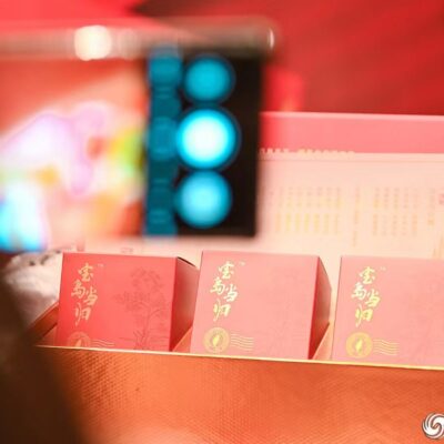 领略中医药文化的独特韵味