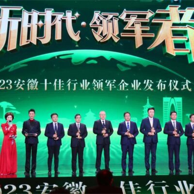 行业领军者的市场份额及发展趋势