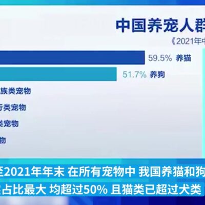究竟有多少家全球服务器企业?