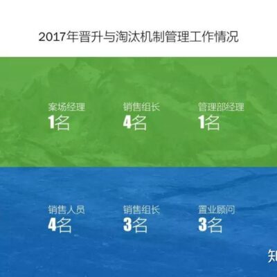 分隔展现排版艺术精髓3. 文字创意无限：利用长标题和