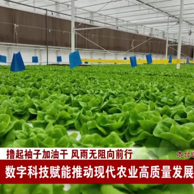 引领农业科技的创新之旅