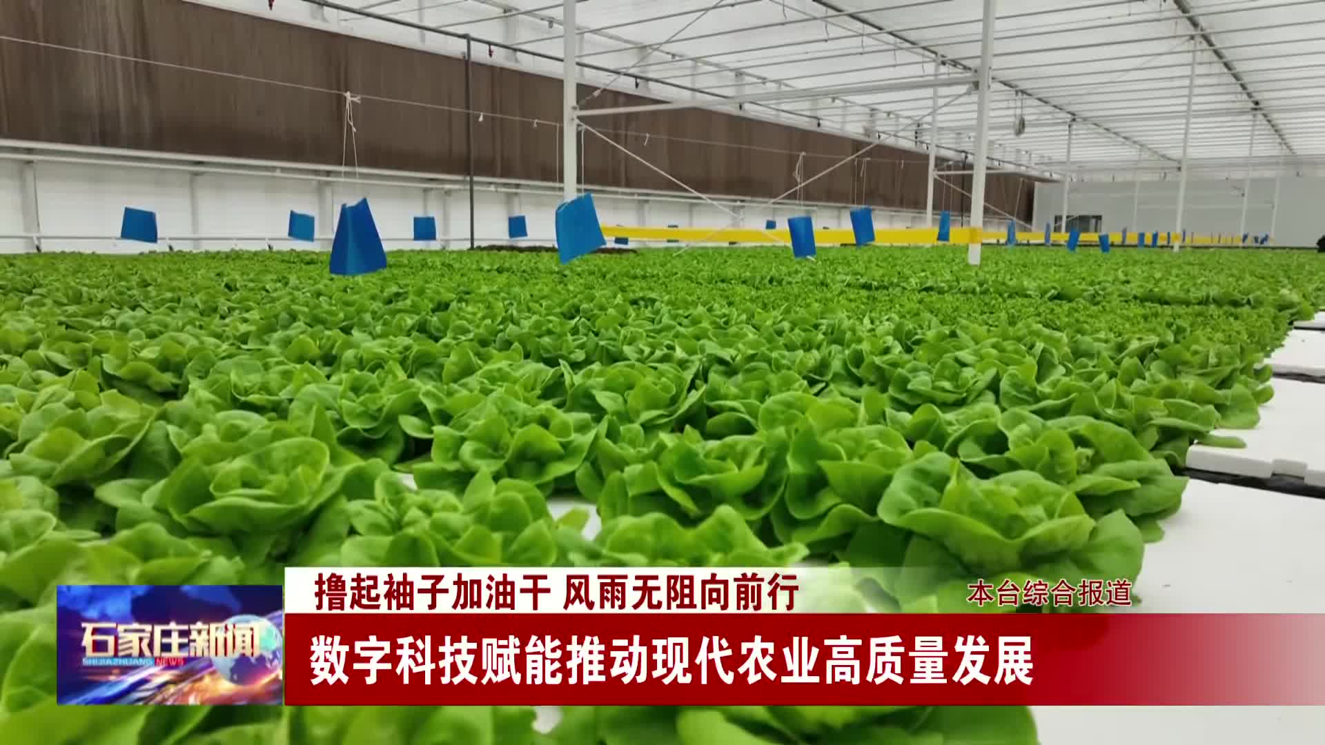 引领农业科技的创新之旅