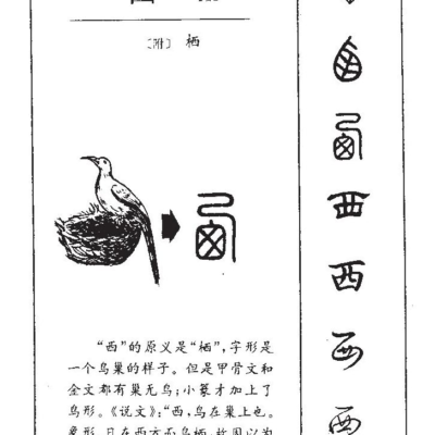 西数服务器价格年度查询报告