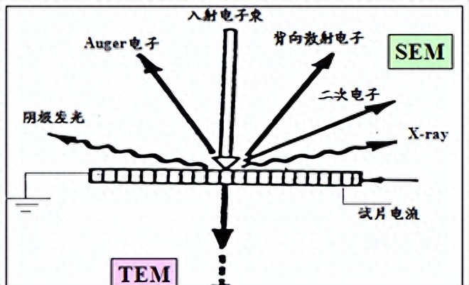 解析SEM核心功能及应用场景