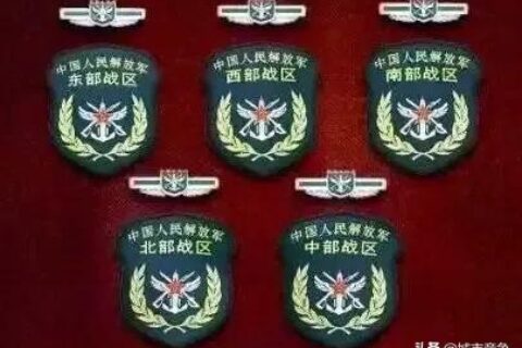 插件的使用与拓展功能