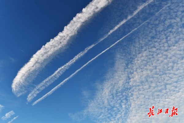 探寻云背后的清西陵管理处故事