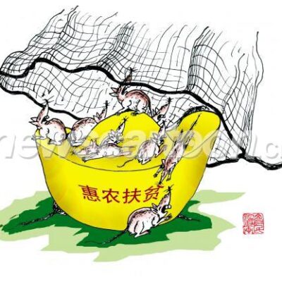一网打尽注册细节与常见问题解答