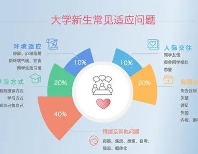 适应不同设备的布局策略