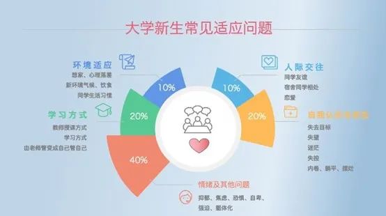 适应不同设备的布局策略