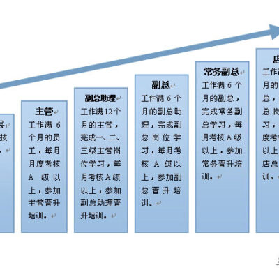 职业晋升路径及行业影响力分析