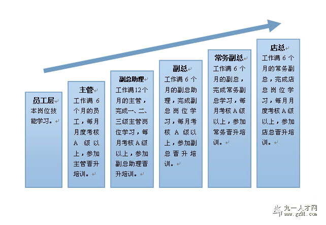 职业晋升路径及行业影响力分析