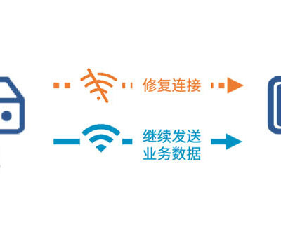 解决服务器密码遗忘的实用方法