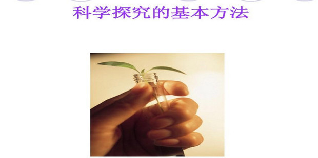 探究B站如何通过多元化策略实现盈利增长