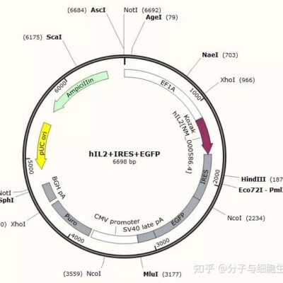 IP2A指的是一个特定范围内的IP地址。